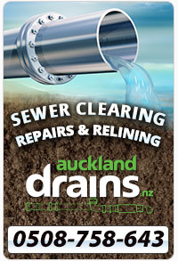 Professional Drain Cleaning